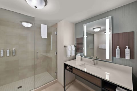 Suite, 1 King Bed | Bathroom shower