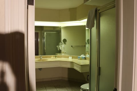Executive Suite, 1 King Bed with Sofa bed, Non Smoking | Bathroom | Combined shower/tub, deep soaking tub, hair dryer, bathrobes