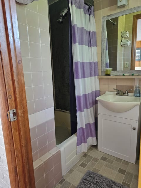 Economy Single Room, 1 Queen Bed | Bathroom | Free toiletries, hair dryer