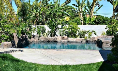 New Pebble-Tech Rock Pool w/in ground Jacuzzi