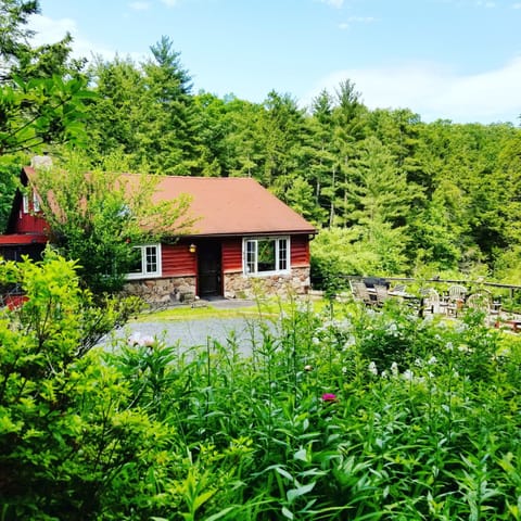Our perennial garden is gorgeous in summer months.