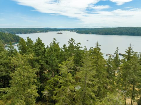 424 Orcas Hill Rd - Orcas Island Washington - 11