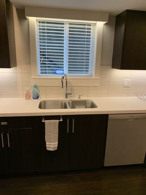 Kitchen sink and dishwasher