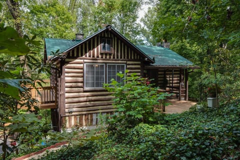 Quaint Little Cabin Nestled back in the woods