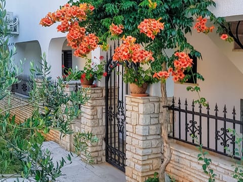 Flower, Plant, Tree, Flowerpot, Spring, Balcony, Flowering Plant, Home, Architecture, Shrub