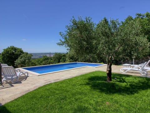 Property, Swimming Pool, Grass, Real Estate, Lawn, Backyard, House, Tree, Yard, Estate