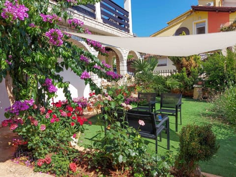 Flower, Plant, Property, Building, Window, Vegetation, Petal, Shrub, Landscape, House