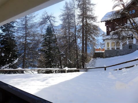 Snow, Winter, Tree, Property, Freezing, Home, House, Architecture, Slope, Building