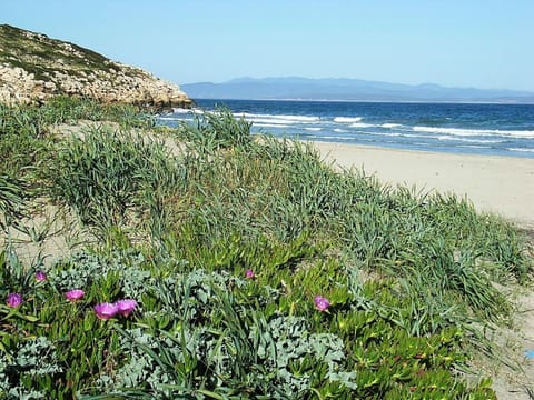 Beach shuttle, sun loungers, beach umbrellas, beach towels