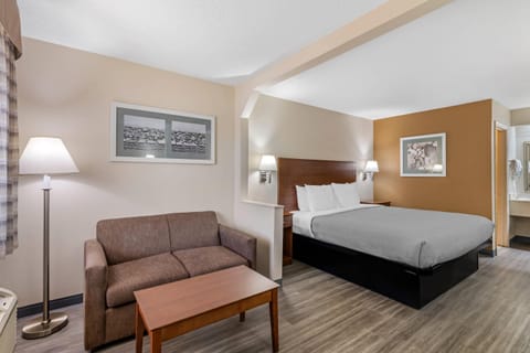 Standard Room, 1 King Bed, Non Smoking | Iron/ironing board, free WiFi, bed sheets