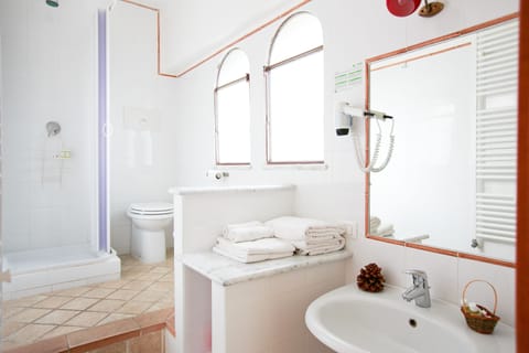 Shower, free toiletries, hair dryer, bidet