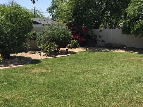 Beautifully landscaped backyard.