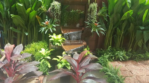 Fountain