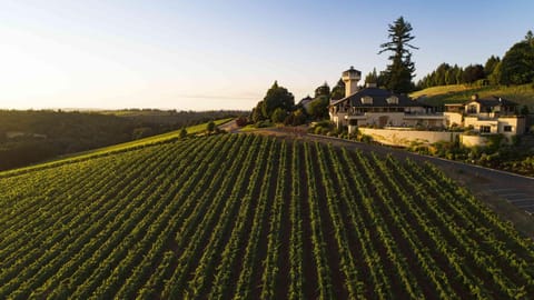 Winery