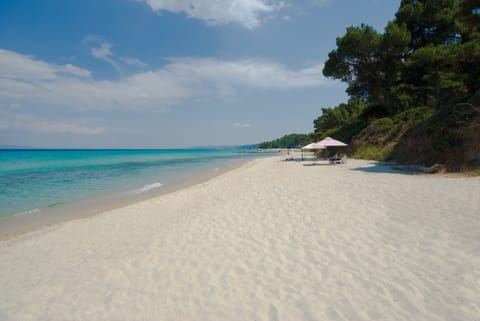 Beach nearby, scuba diving