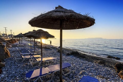 Private beach, beach volleyball