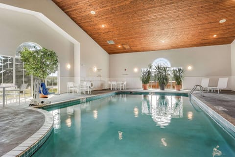 Indoor pool, sun loungers