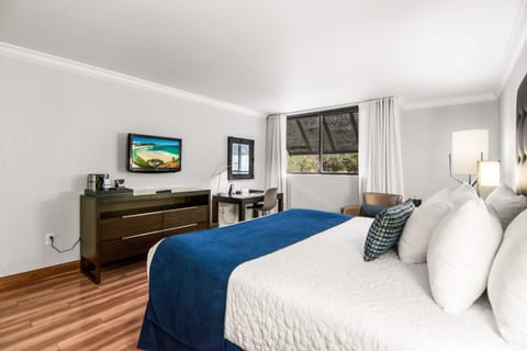 Premium bedding, down comforters, pillowtop beds, in-room safe