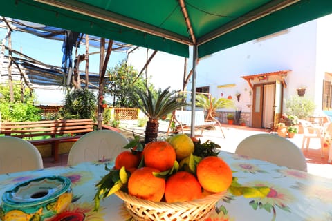 Free daily local cuisine breakfast