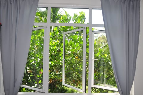 Superior Room with Terrace  | View from room