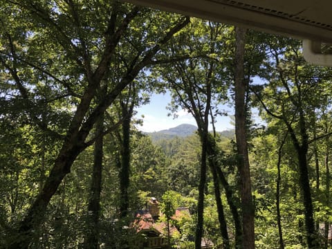 View from covered porch of Satulah Mountain, Sunset Rock and Little Bear Pen

