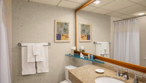 Combined shower/tub, free toiletries, hair dryer, towels