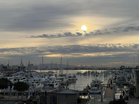 Room, 1 King Bed, Non Smoking (Harbor View) | Beach/ocean view