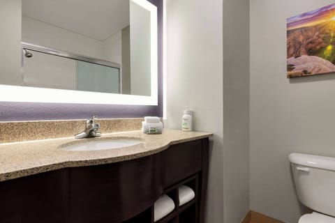 Room, 1 King Bed, Non Smoking (Mobility, Bathtub w/ Grab Bars) | Bathroom | Combined shower/tub, free toiletries, hair dryer, towels