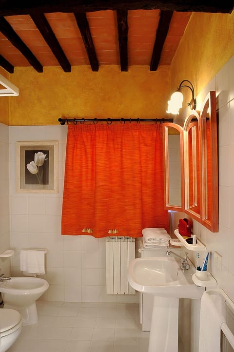 Shower, free toiletries, hair dryer, bidet