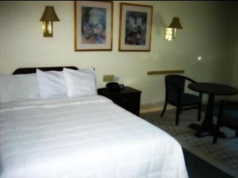 Standard Room, 2 Queen Beds, Non Smoking | Iron/ironing board (on request), WiFi (free), alarm clocks, bed sheets