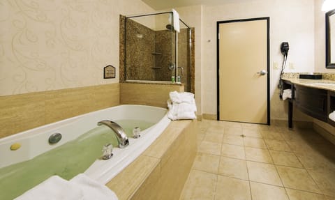 Separate tub and shower, free toiletries, hair dryer, towels