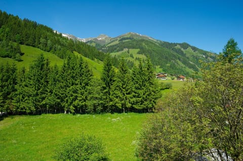 Rauriser Goldzimmer Premium - Hotel Alpina **** House in Salzburgerland
