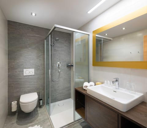 Rauriser Goldzimmer Premium - Hotel Alpina **** House in Salzburgerland