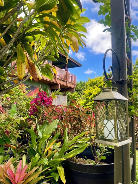 E Komo Mai (Welcome with Aloha) 