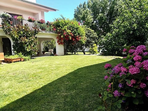 Lateral garden 