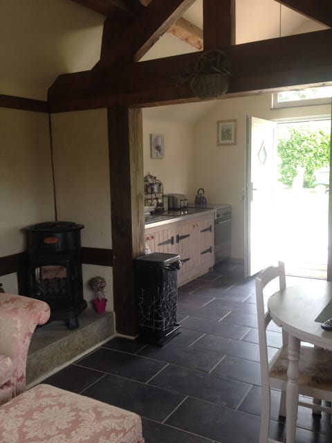 Gas fired "log" burner plus electric radiators for heating