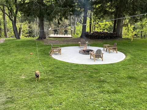  View of back yard from back porch