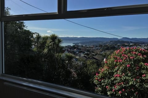 View over Wellington