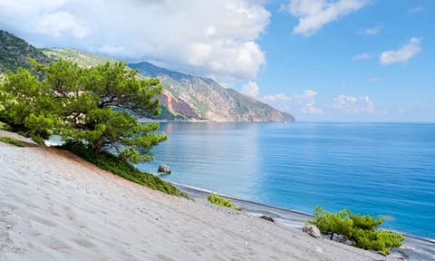 Beach nearby