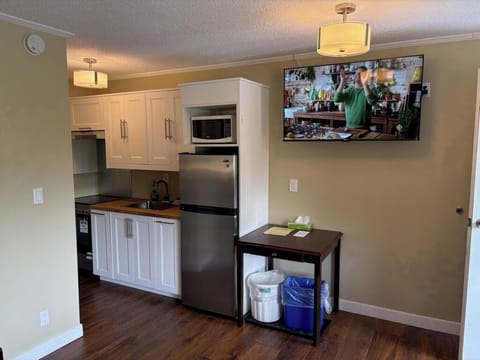 Family Studio Suite | Individually decorated, individually furnished, desk, free WiFi