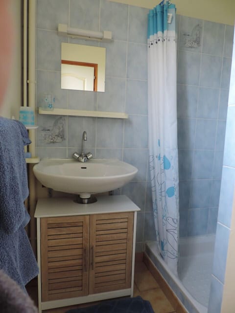 Double Room (Bleue) | Bathroom | Shower, hair dryer, towels