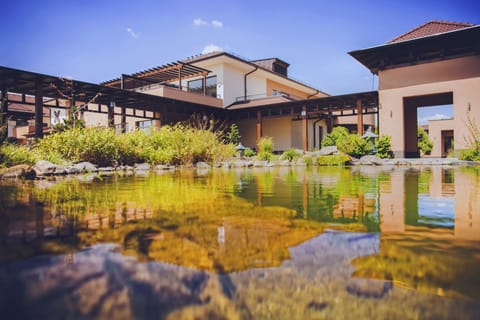 Japanese garden