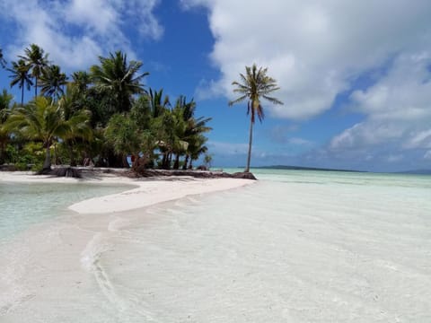 Beach nearby, scuba diving