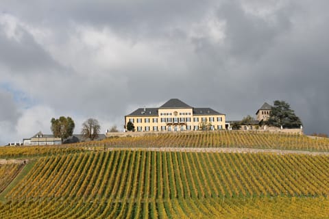 Land view from property