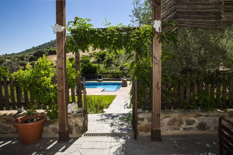 Seasonal outdoor pool, sun loungers