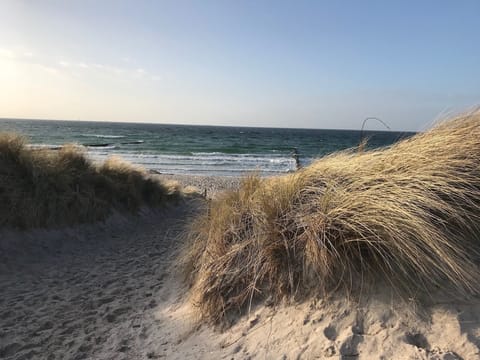 White sand, 2 beach bars