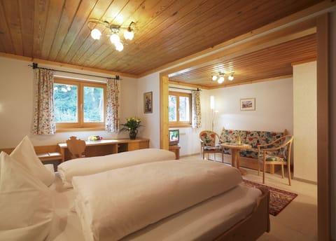 Junior Room | In-room safe, free WiFi, bed sheets