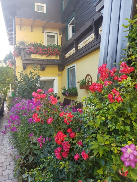 Double Room (kleines) | Garden view