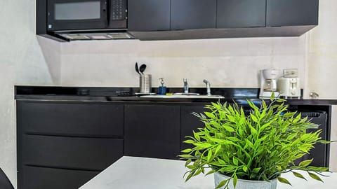 Apartment, 1 Queen Bed with Sofa bed | Private kitchen | Fridge, microwave, stovetop, coffee/tea maker