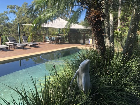 Large salt water pool with horizon views and outdoor shower